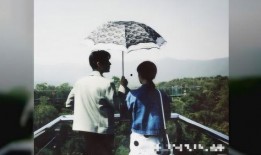 杨紫和肖战最新真实爆料,揭秘幕后故事与真实情感